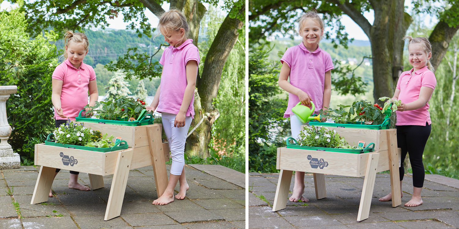 Pflanzen pflegen und beobachten für kleine und größere Kinder.